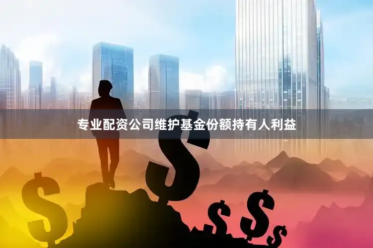 专业配资公司维护基金份额持有人利益